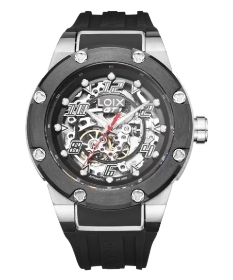 Loix GT501-4 Edicion Especial, foto 1