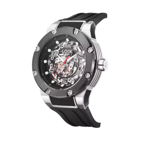Loix GT501-4 Edicion Especial, foto 2